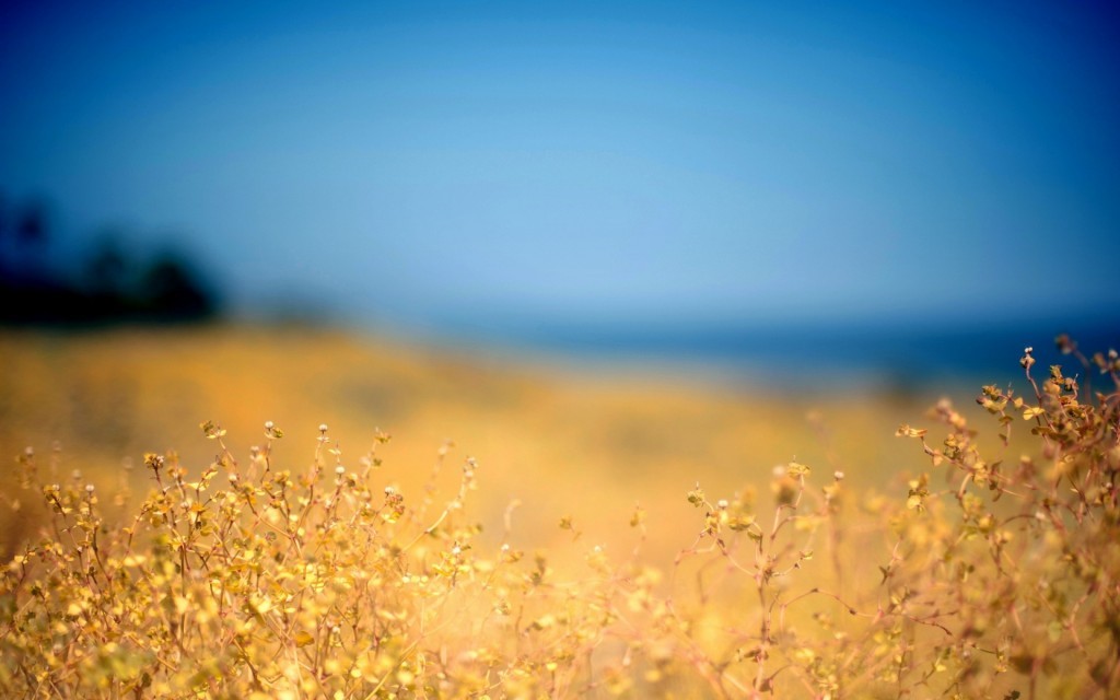 901